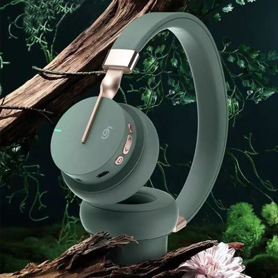 ROHS Super Bass Wireless Headphones, ABS HIFIgokkenhoofdtelefoon met Microfoon